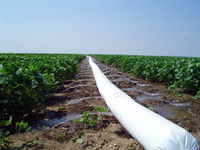 Maximizing Agricultural Irrigation Efficiency with PE Lay Flat Hose