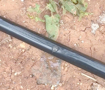 Modern Drip Irrigation Solutions: Maximizing Efficiency and Yield